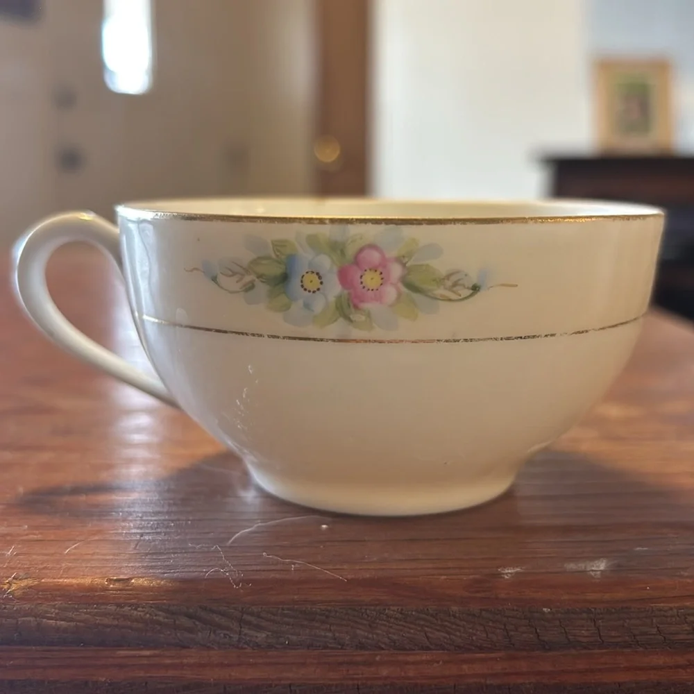 SEDAN NORITAKE HANDPAINTED VINTAGE Floral Teacup Blue and Pink Flowers